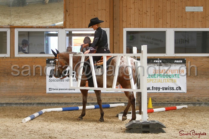 28-ApHC OT_159.jpg